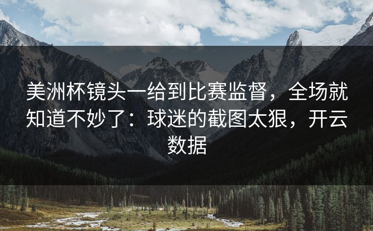 美洲杯镜头一给到比赛监督，全场就知道不妙了：球迷的截图太狠，开云数据