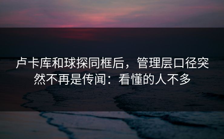 卢卡库和球探同框后，管理层口径突然不再是传闻：看懂的人不多