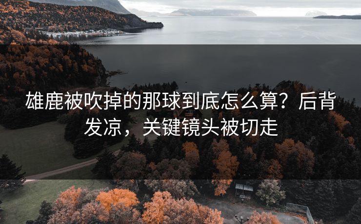 雄鹿被吹掉的那球到底怎么算？后背发凉，关键镜头被切走