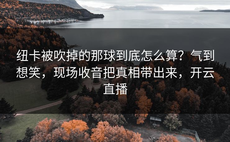 纽卡被吹掉的那球到底怎么算？气到想笑，现场收音把真相带出来，开云直播