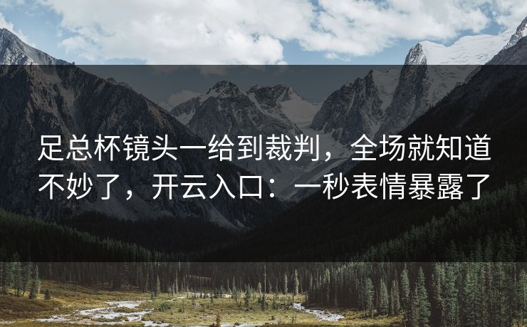 足总杯镜头一给到裁判,全场就知道不妙了,开云入口:一秒表情暴露了